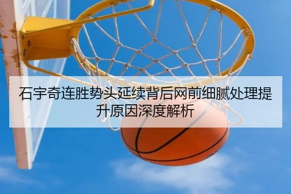 石宇奇连胜势头延续背后网前细腻处理提升原因深度解析